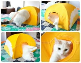 Aww, it’s like he’s camping… indoors, on a bed. Photo Credit: cdn.indestructables.com