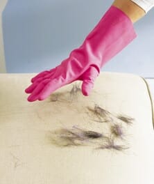 The damp latex or rubber should attract the hair. Photo Credit: Antonis Achilleos, realsimple.com